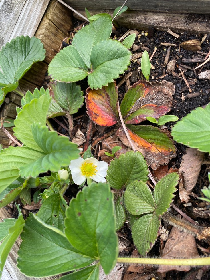 13945094-FA70-4DBE-BB0E-66FAE2AE88B4