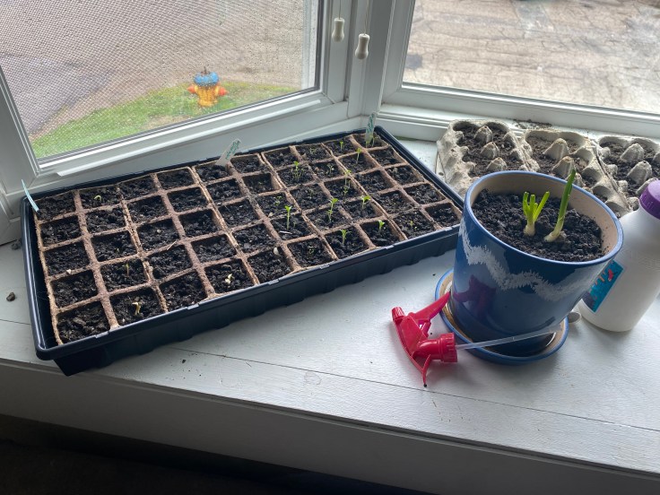 6DC676A2-C8A3-4461-ABE5-7ABD5B6B44CD