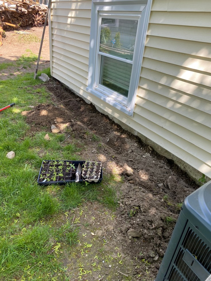 BD501B9A-02F5-40D1-BF13-A55665550A99