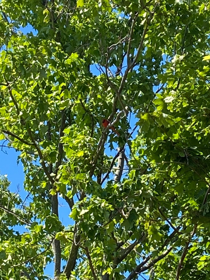 4F00354F-4C70-429E-9F9C-A3CF772A3A1B